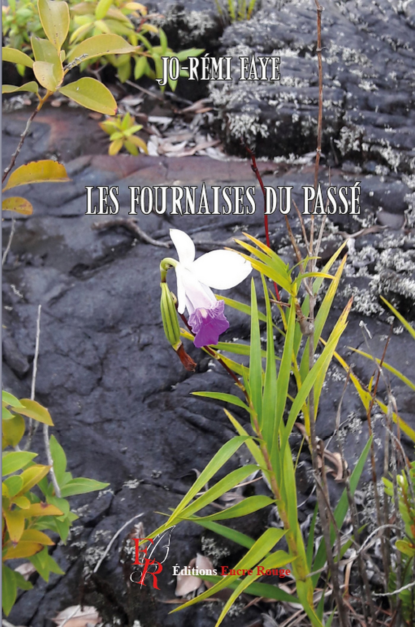 Les fournaises du passé, écrit par Jo-Rémi FAYE
