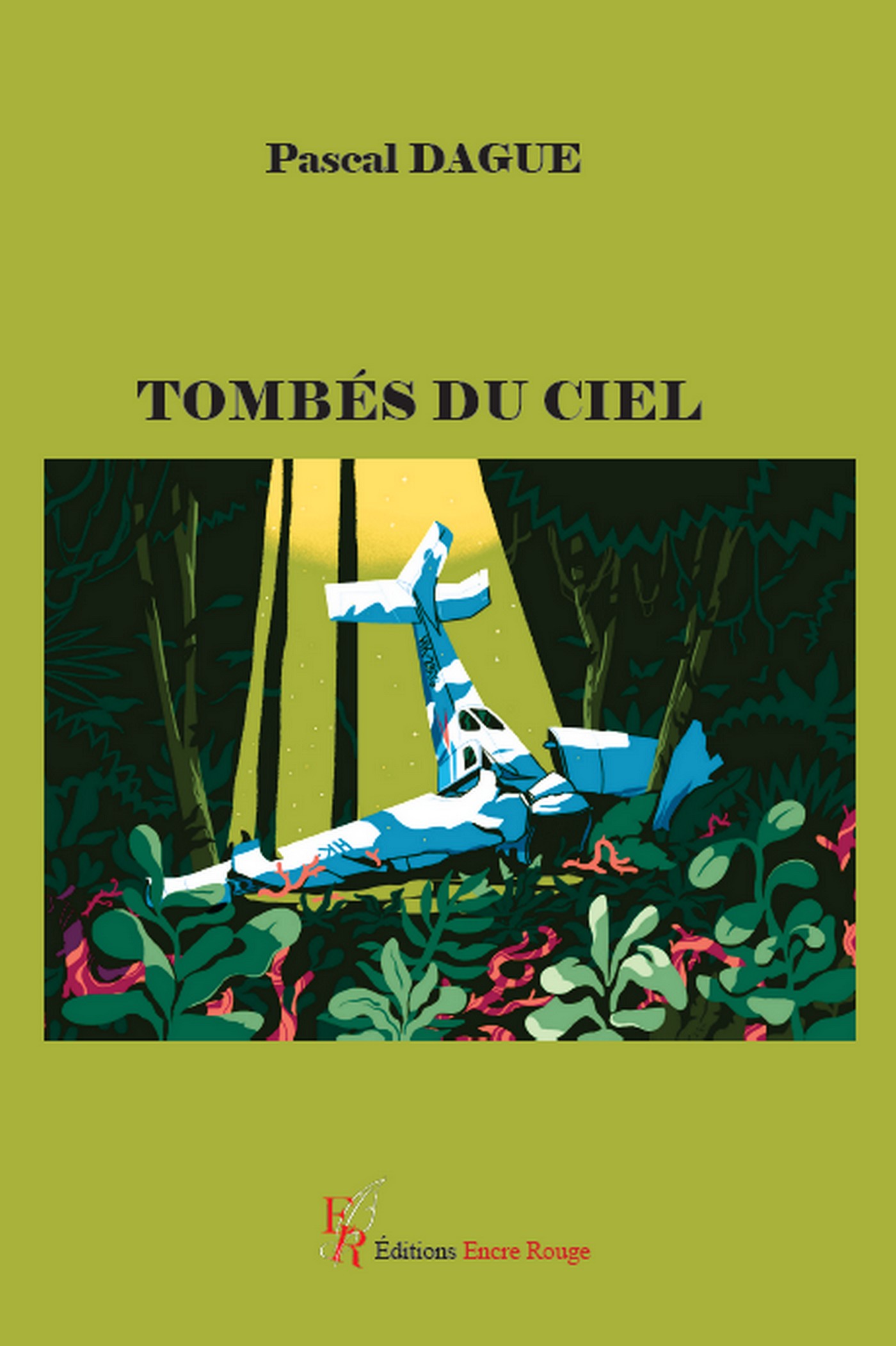 Tombés du ciel, écrit par Pascal Dague