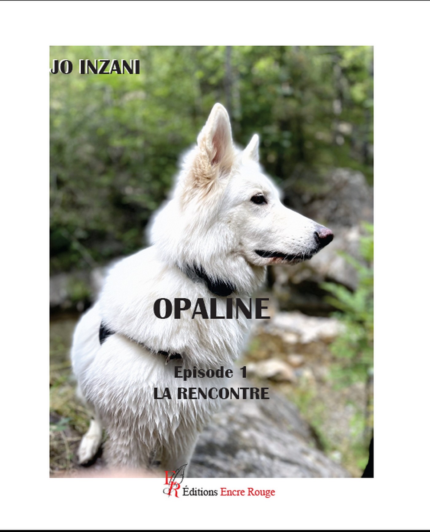 OPALINE, Episode 1 La rencontre, écrit par Jo Inzani